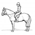 My Horse Printable Coloring eBook 32 Pages on a CD