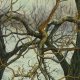 Landscape Oil Paintings