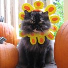Late Bloomer pet flower hat
