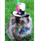 Pampered Whiskers pet party hat