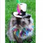 Pampered Whiskers pet party hat