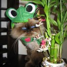 Infrognito! pet frog hat