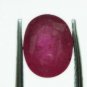 1.49cts stunning natural African Ruby gemstone oval