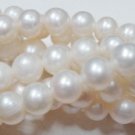 10strand fesh water pearl Beaded Gemstone Strand