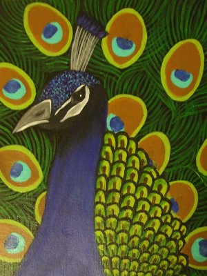 Peacock