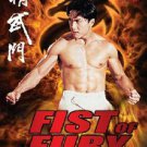 VO1880A  Fist of Fury movie DVD Donnie Yen, Bey Logan martial arts action