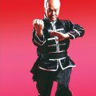 VD5008A  Southern Chinese Five Family Fist Kung Fu #1 DVD Grandmaster Seming Ma