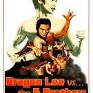 VD6025A  Dragon Lee vs The 5 Brothers - 1978 Hong Kong Kung Fu Martial Arts movie DVD
