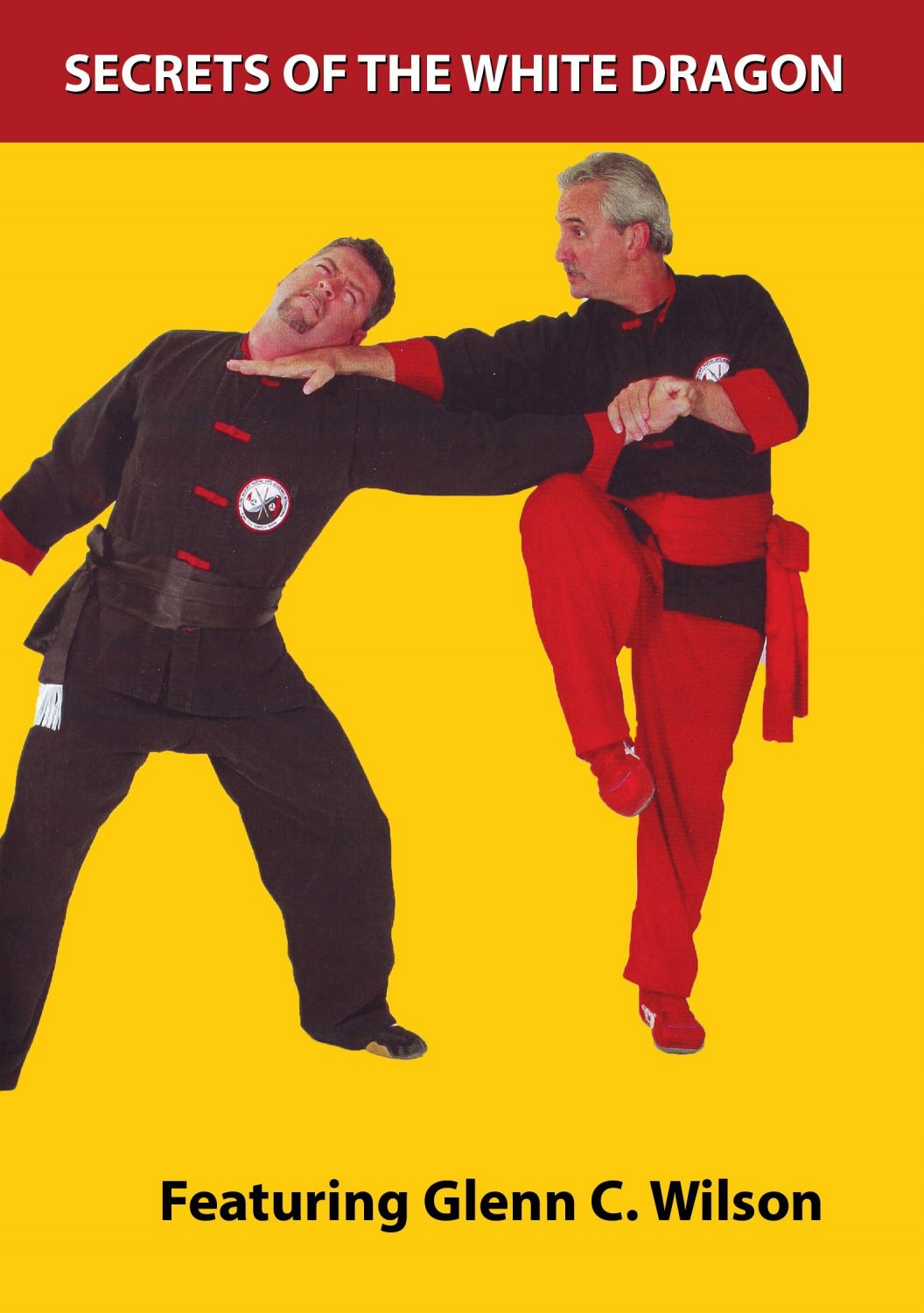 VD5038A Secrets White Dragon Crushing Palm DVD Glenn