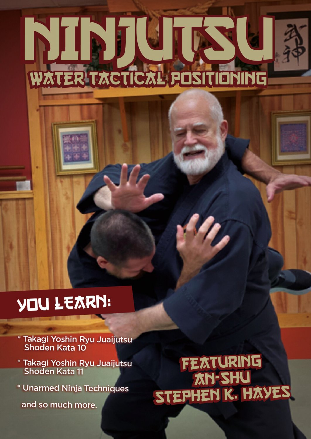 VD7749A Ninjutsu Water Tactical Positioning DVD Stephen Hayes takagi ...