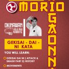 VD9454A Traditional Okinawan Goju Ryu Karate #14 Gekisai Dai Ni Kata DVD Morio Higaonna