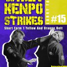 VD9652A-VD DIGITAL VIDEO  When Kenpo Karate Strikes #15 Form 1 Yellow/Orange Belt  Larry Tatum