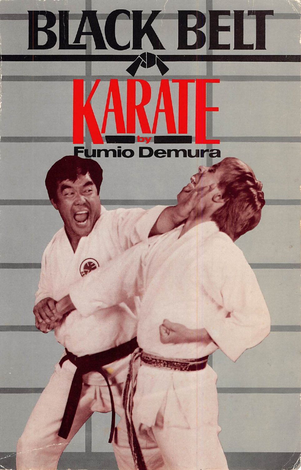 BR5050A-BD DIGITAL E-BOOK Black Belt Karate by Fumio Demura
