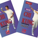 VD3015P  2 DVD Set Dayan Chi Kung wild goose breathing, chi flow, forms 1-64 - Wen-Mei Yu