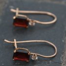 10Kt Yellow Gold Garnet and Sapphire Earrings