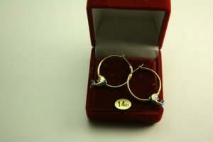 14KT Gold Dolphin Hoop Earrings