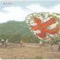 Set of 8 Antique JAPAN Japanese Postcards w/ Folder Huge Kites #EC47