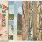 Set of 8 Antique JAPAN Japanese Postcards w/ Folder Huge Kites #EC47