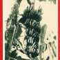 Set of 3 Antique Postcards w/ Folder FORMOSA Taiwan Under Japanese Rule Banana Nutrition Card #EF9