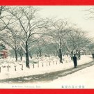Antique JAPAN Japanese Hand Tinted Colored Postcard  Yokohama Park Snow Scene #EC55