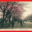 Antique JAPAN Japanese Hand Tinted Colored Postcard Yokohama Park Cherry Blossoms People #EC58 Antique JAPAN Japanese Hand Tinted Colored Postcard Yokohama Park Cherry Blossoms People #EC58