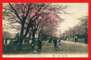 Antique JAPAN Japanese Hand Tinted Colored Postcard  Yokohama Park Cherry Blossoms People #EC58