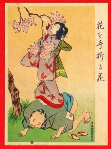 JAPAN Japanese Art Postcard KOKKEI SHINBUN Picking Cherry Blossoms #EAK28
