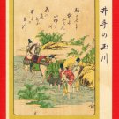 JAPAN Japanese Art Postcard KOKKEI SHINBUN River Horse by HOKUSAI #EAK29