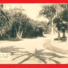Antique Postcard FORMOSA Taiwan Under Japanese Rule Pre-WW2 Taipei Botanical Garden #EF26 Antique Postcard FORMOSA Taiwan Under Japanese Rule Pre-WW2 Taipei Botanical Garden #EF26