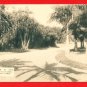Antique Postcard FORMOSA Taiwan Under Japanese Rule Pre-WW2 Taipei Botanical Garden #EF26