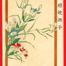 1908 JAPAN Japanese Art Postcard KOKKEI SHINBUN Bellflower Pink Flower #EAK58 1908 JAPAN Japanese Art Postcard KOKKEI SHINBUN Bellflower Pink Flower #EAK58