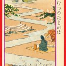 1907 JAPAN Japanese Postcard KOKKEI SHINBUN TAMA River #EAK62