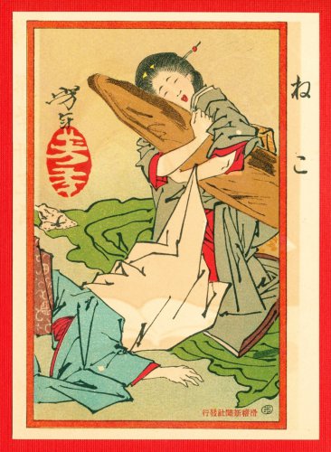 1908 JAPAN Japanese Art Postcard KOKKEI SHINBUN Cat Woman #EAK64
