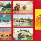 Set of 6 Vintage JAPAN Japanese Postcards w/ Folder WW2 Army Cavalry Horse #EM201