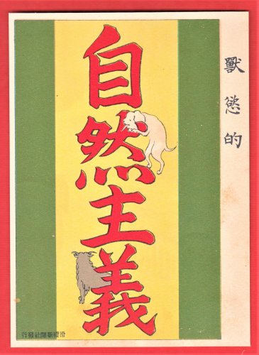 1908 JAPAN Japanese Art Postcard KOKKEI SHINBUN "Naturalism" #EAK69