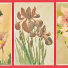 Set of 3 Antique JAPAN Japanese Art Postcards Flowers Poppies Irises Lilies #EA243 Set of 3 Antique JAPAN Japanese Art Postcards Flowers Poppies Irises Lilies #EA243