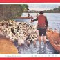 Antique Postcard FORMOSA Taiwan Under Japanese Rule Duck Keeper Herder Indigenous Man #EF55