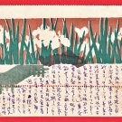 1905 Antique JAPAN Japanese Art Postcard Irises Garden Flowers #EA290