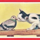 Antique JAPAN Japanese Art Postcard Cat Kissing Pigeon #EA317