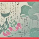 1906 Antique JAPAN Japanese Art Postcard Sweet Pea #EA331 1906 Antique JAPAN Japanese Art Postcard Sweet Pea #EA331