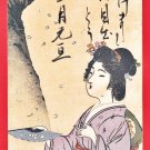 1906 Antique JAPAN Japanese Art Postcard Woman Beauty Silver Fan New Year Petals #EA332