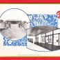 Antique JAPAN Japanese Art Deco Design 3 Postcards Goat Sheep Wool Factory #EO38