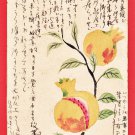1907 JAPAN Japanese Hand Painting Original Art  Postcard  Pomegranate #EAH18