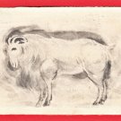 1931 JAPAN Japanese Artist Hand Painting Original Art  Postcard  Sheep Goat #EAH20