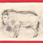 1931 JAPAN Japanese Artist Hand Painting Original Art  Postcard  Sheep Goat #EAH20