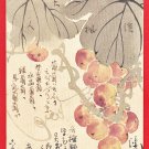 1907 JAPAN Japanese Hand Painting Original Art Postcard Artist Seal Grapes #EAH28