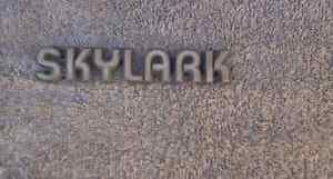 OEM Skylark Body/Dash Emblem. Type 3