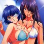 Ikki Tousen CG Anime Bedding Bed Sheet 003