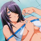 Ikki Tousen CG Anime Bedding Bed Sheet 006