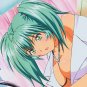 Ikki Tousen CG Anime Bedding Bed Sheet 006